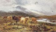 Louis bosworth hurt Highland Cattle on the Banks of a River (mk37) oil painting picture wholesale